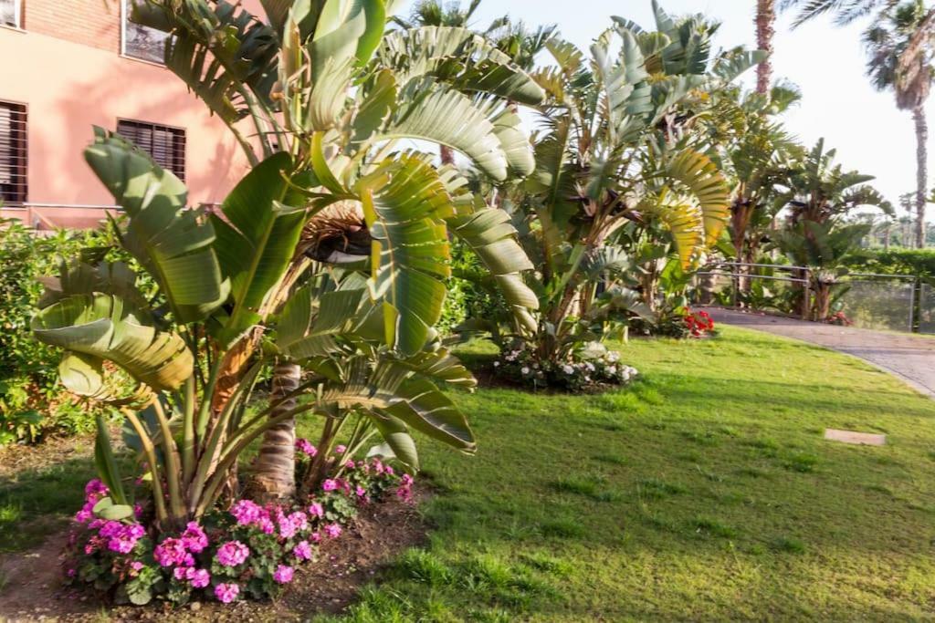 מוטריל Pushe Playa Granada Beach&Golf 1 מראה חיצוני תמונה